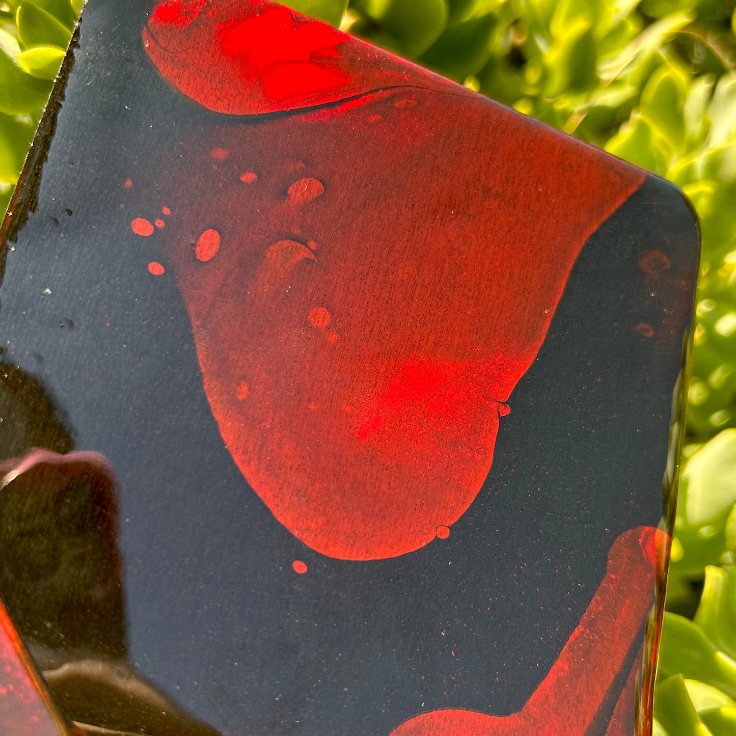 Red Fields coaster set