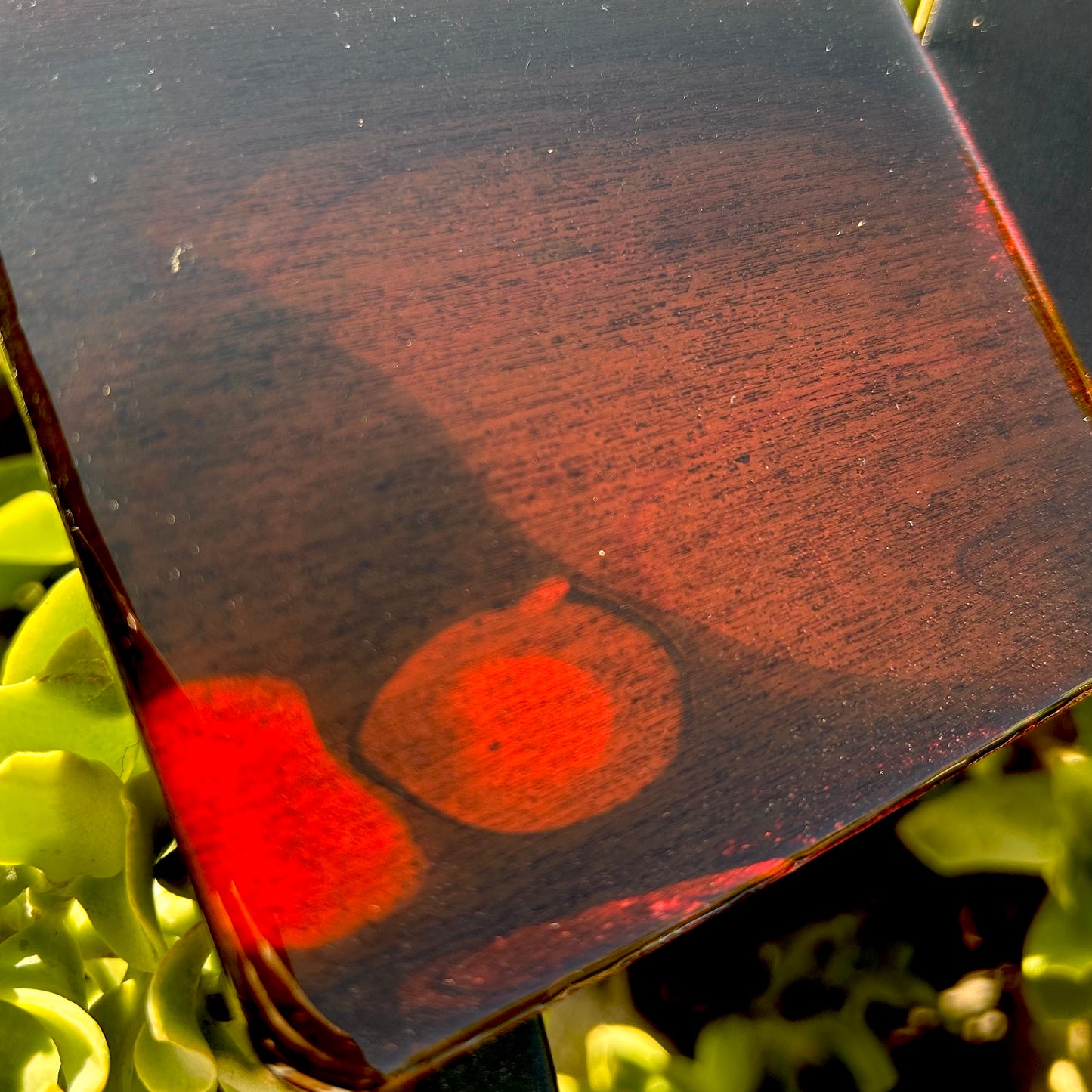 Red Fields coaster set