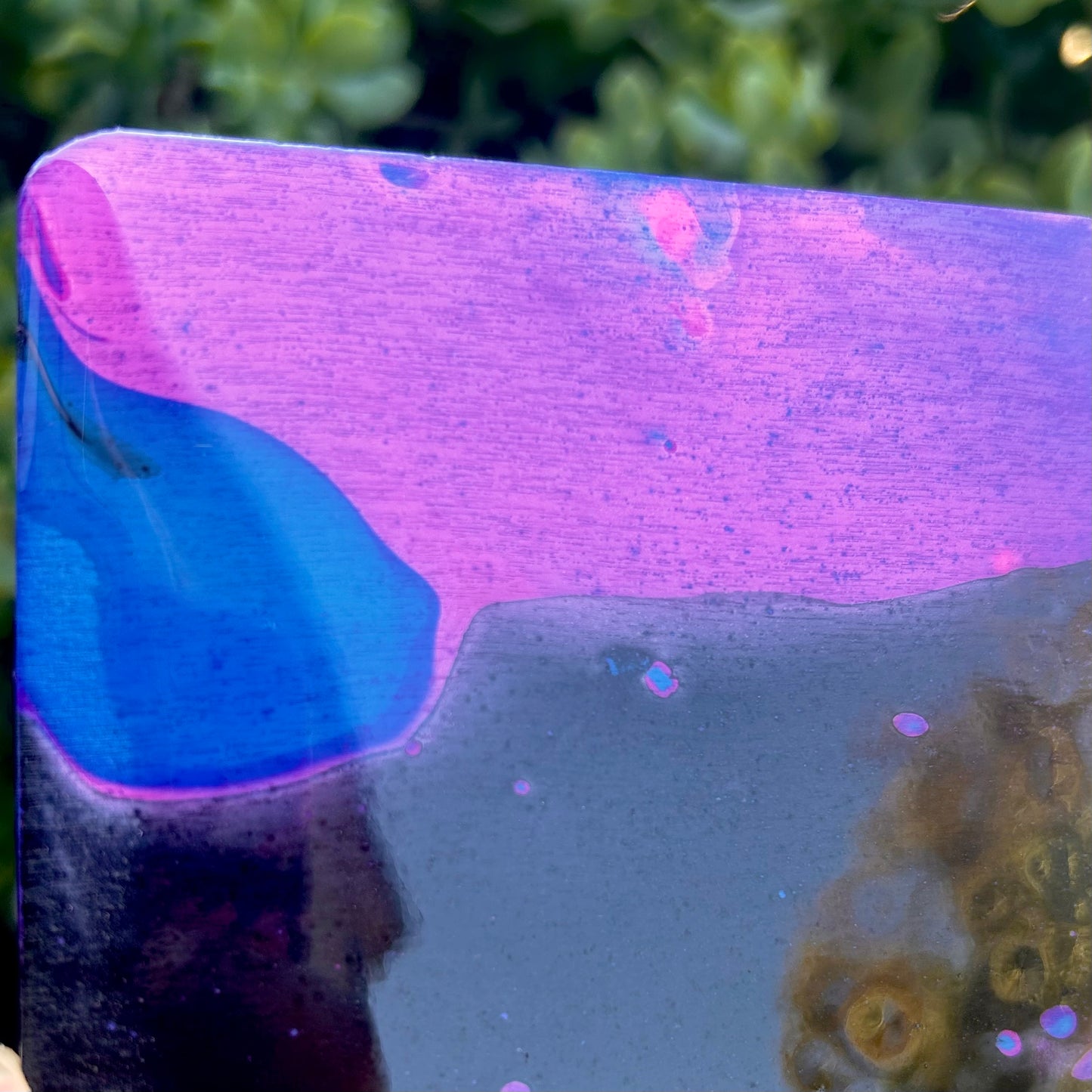 Fuschia Basin coaster set