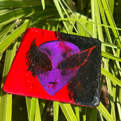 Star Gazer